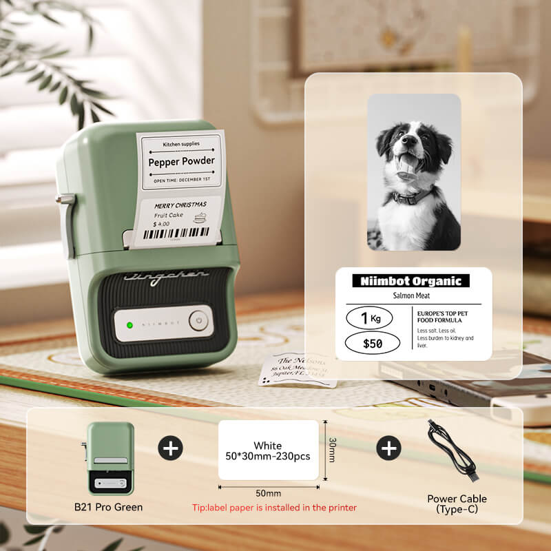 NIIMBOT B21 Pro 300dpi Label Printer, Photo Printing, Bluetooth Connection for Notes,Photos, Study Graphics, Memo Maker - Image 10