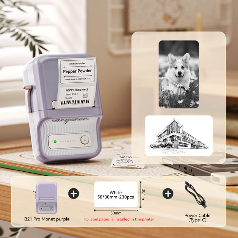 NIIMBOT B21 Pro 300dpi Label Printer, Photo Printing, Bluetooth Connection for Notes,Photos, Study Graphics, Memo Maker - Image 12