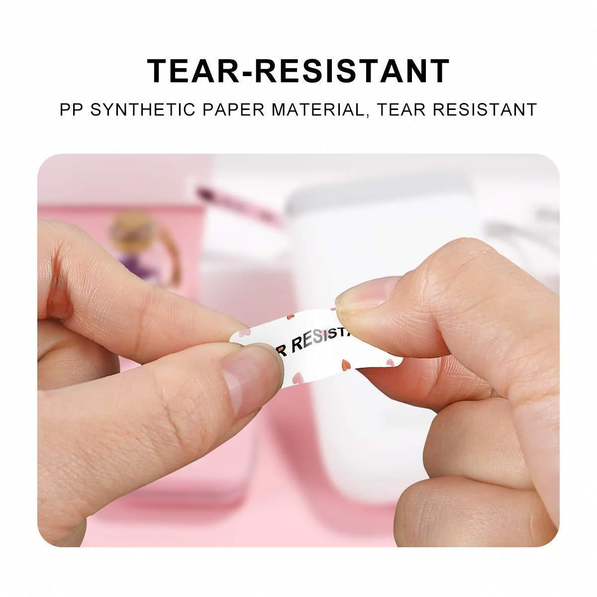 Seasonal Label for D11, D110, D101 - Image 8